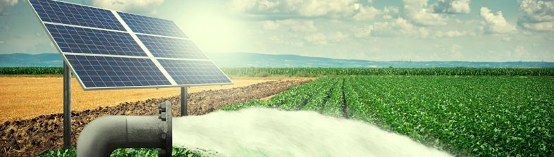 Solar Irrigation Pump