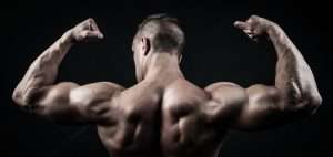 Muscle building for body fitness