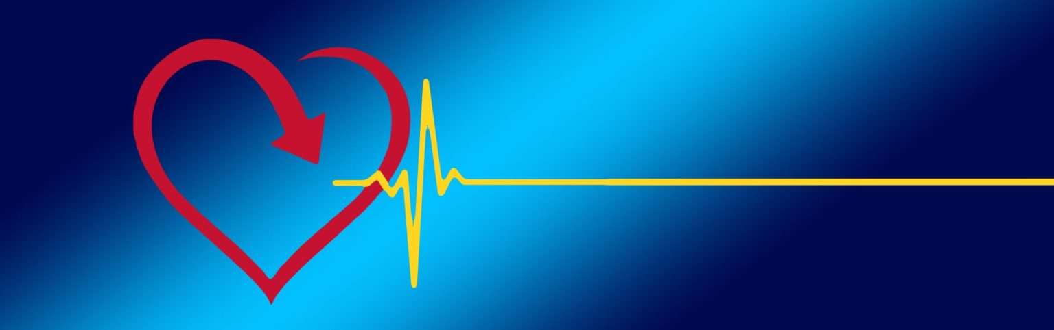 What Tests To Determine Heart Disease What Tests To Determine Heart Disease