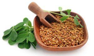 Read more about the article Benefits, Harms, and Consumption of Fenugreek