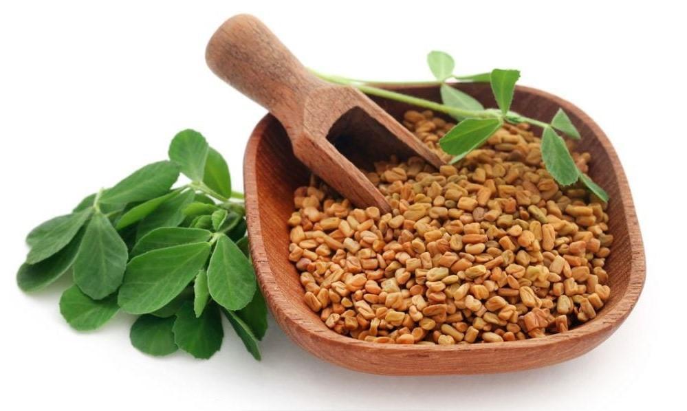 You are currently viewing Benefits, Harms, and Consumption of Fenugreek