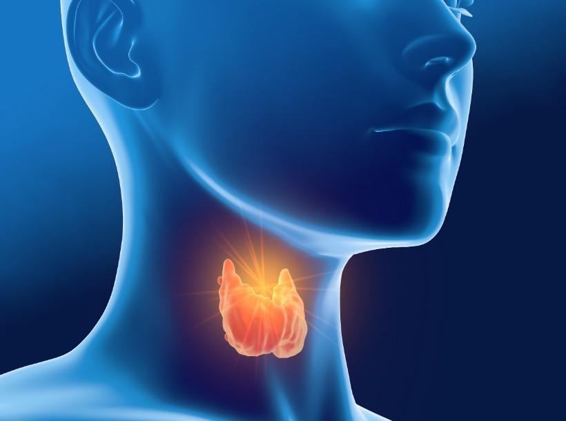 You are currently viewing What are the signs of thyroid in women?