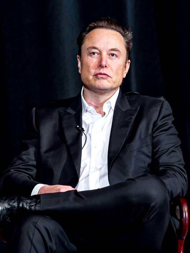 Read more about the article Elon Musk