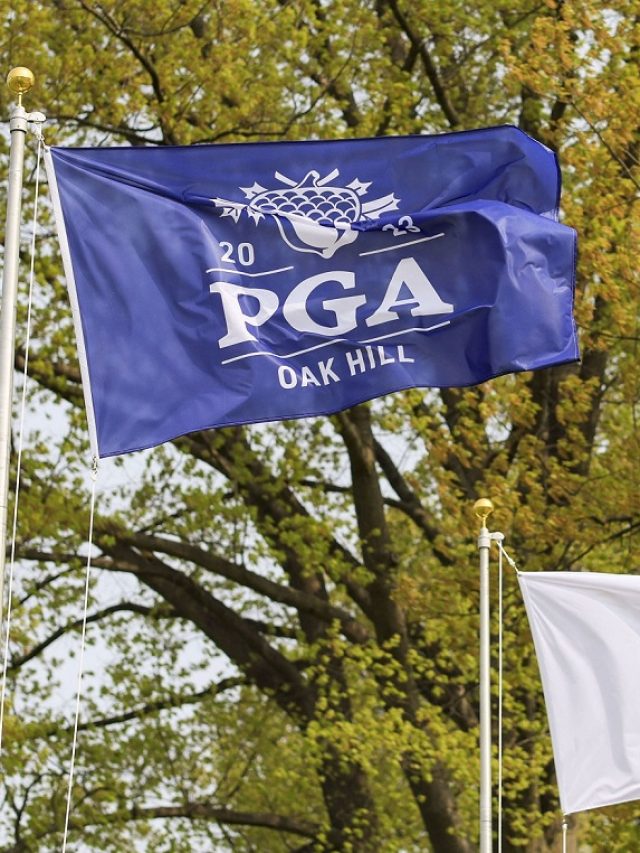 Read more about the article PGA Championship