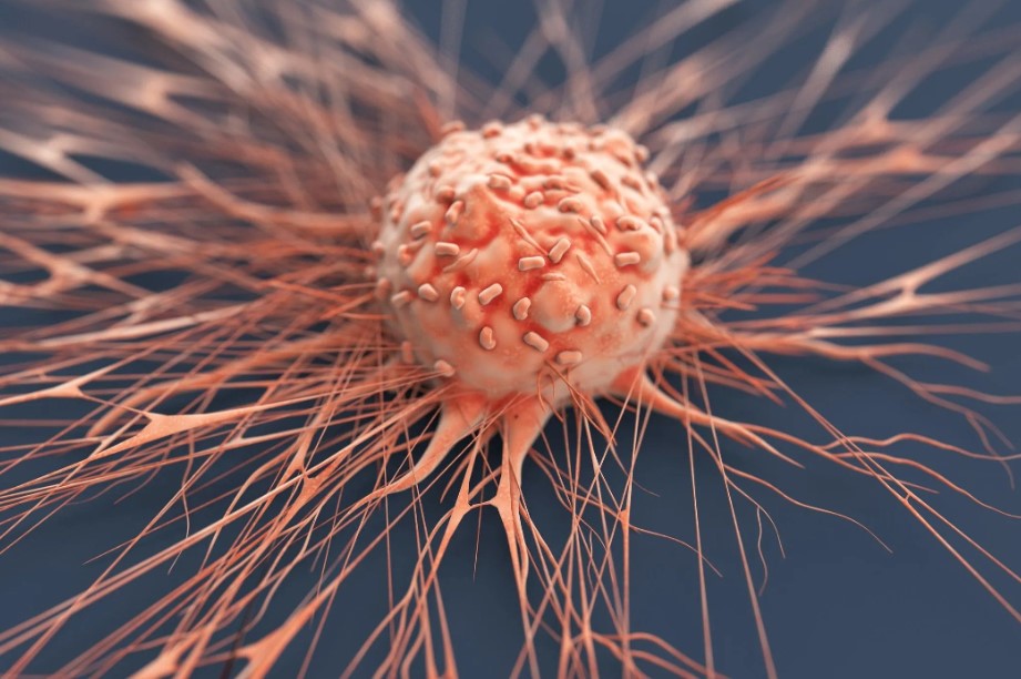 You are currently viewing 7 ways to reduce the risk of deadly cancer