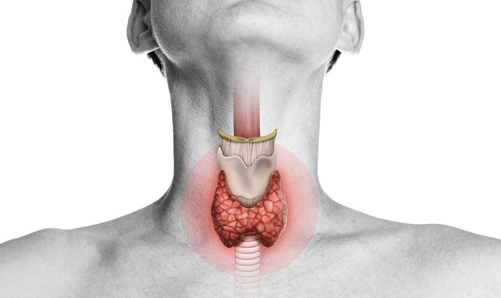 Read more about the article Hypothyroidism Problem: Stay Healthy by Avoiding 7 Types of Food!