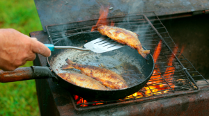 fish Cooking