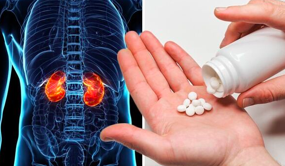 You are currently viewing How do painkillers damages the kidneys?