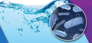 Read more about the article Methods of water disinfection