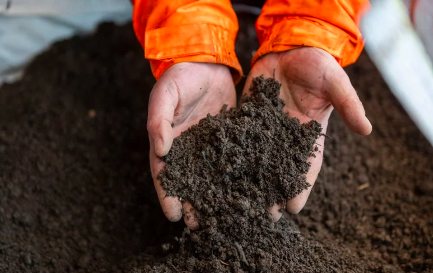 Read more about the article A step-by-step guide to making and using compost.