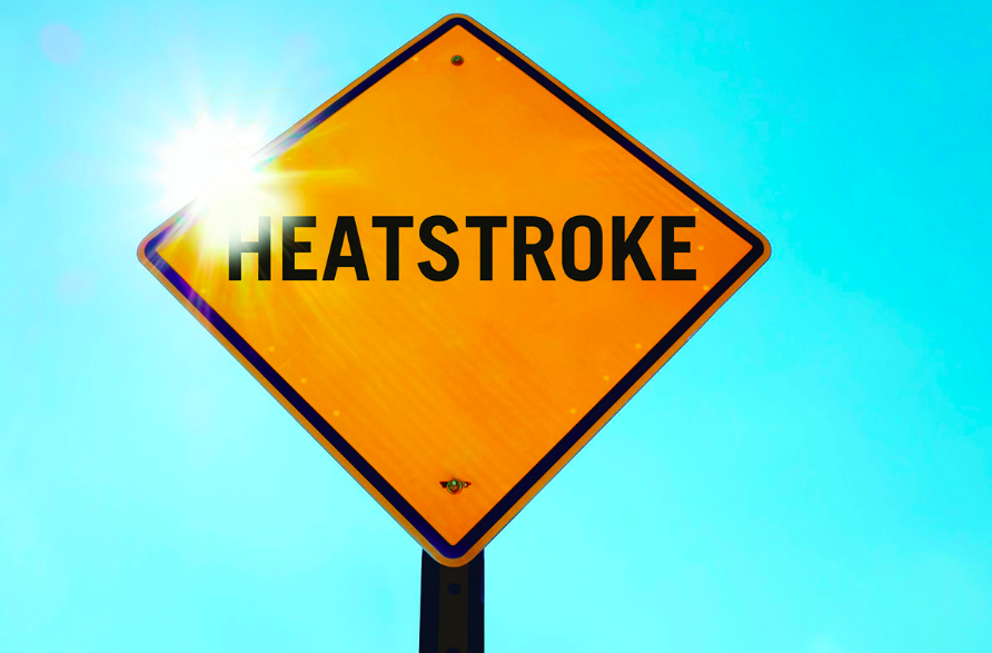 Read more about the article What is the way to avoid heatstroke?